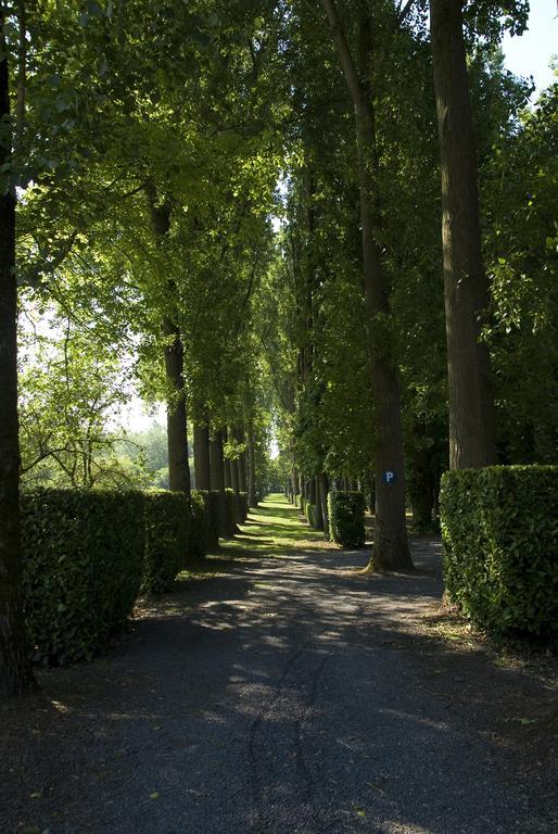 B&B Chateau Bagatelle Frasnes-lez-Anvaing Exterior foto