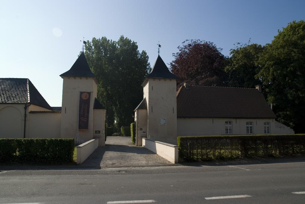 B&B Chateau Bagatelle Frasnes-lez-Anvaing Exterior foto