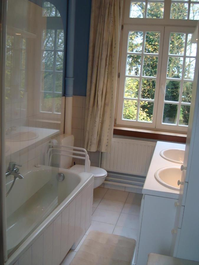 B&B Chateau Bagatelle Frasnes-lez-Anvaing Habitación foto