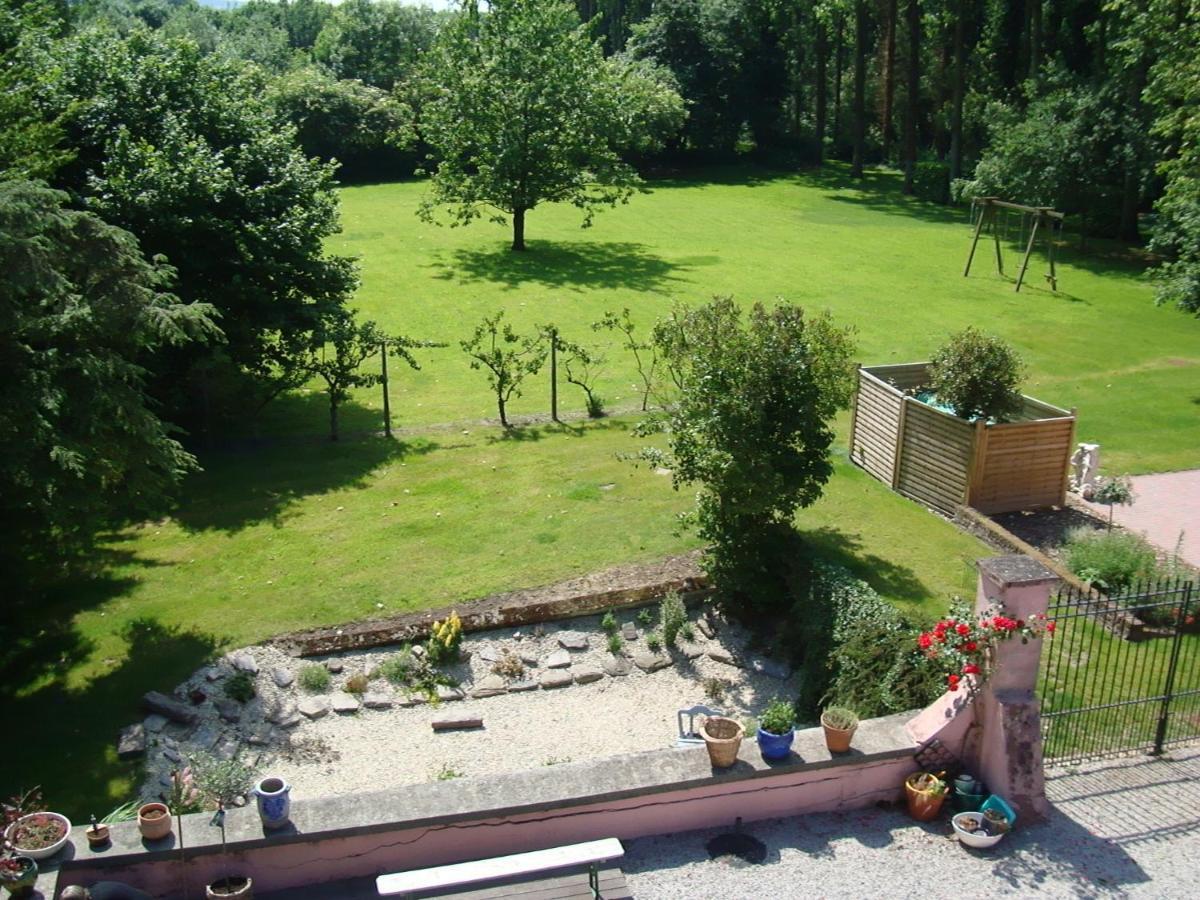 B&B Chateau Bagatelle Frasnes-lez-Anvaing Exterior foto