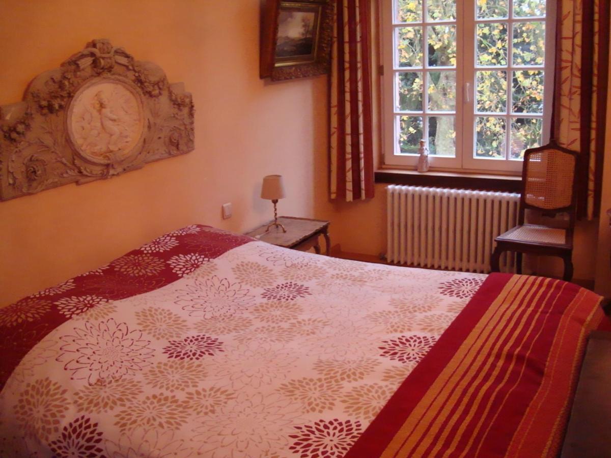 B&B Chateau Bagatelle Frasnes-lez-Anvaing Habitación foto